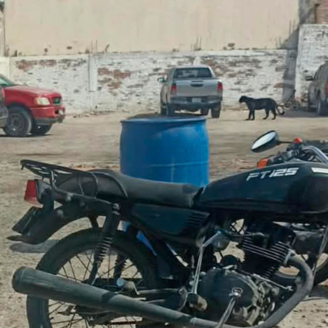Despliegan Operativo por Presunto Avistamiento de Pantera en Torreón, Coahuila